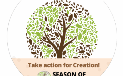SEASON OF CREATION.  PEACE WITH CREATION