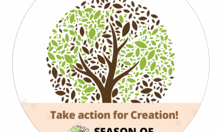 SEASON OF CREATION.  PEACE WITH CREATION