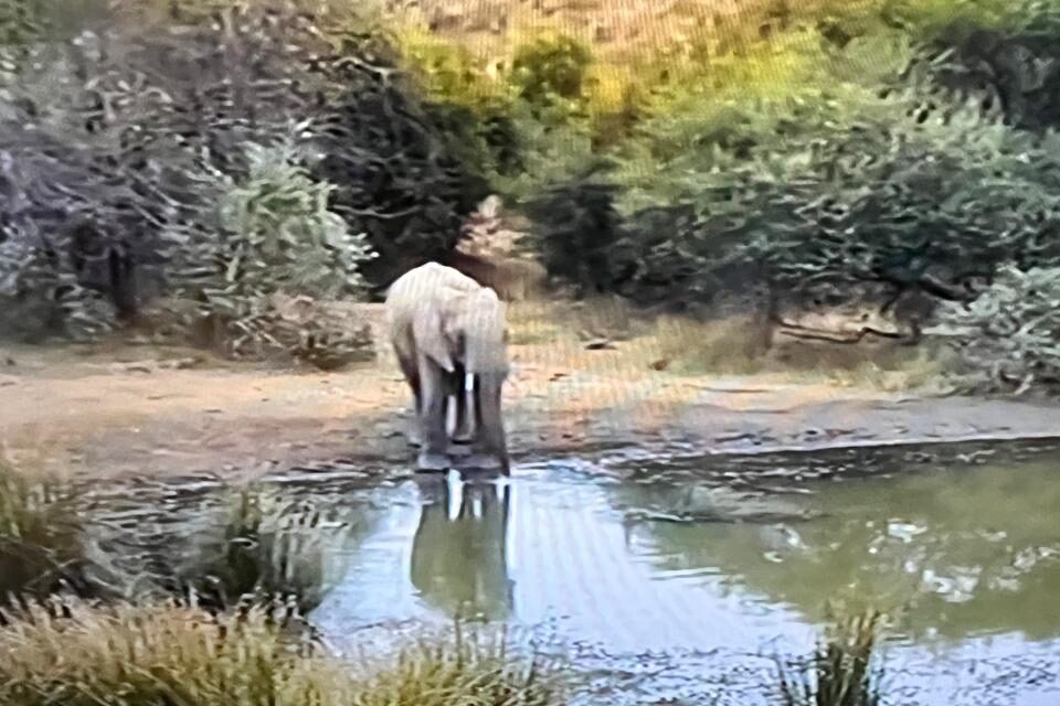 SEASON OF CREATION.  CONSERVATION CONVERSATION AND THOUGHT FOR 3 SEPTEMBER.   