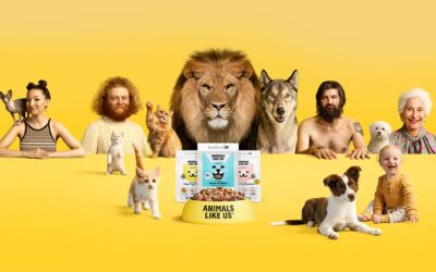 SEASON OF CREATION.  EFFECTIVE LEADERSHIP.