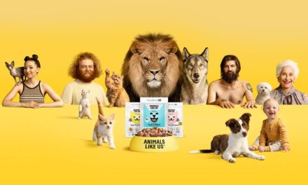 SEASON OF CREATION.  EFFECTIVE LEADERSHIP.