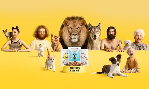 SEASON OF CREATION.  EFFECTIVE LEADERSHIP.