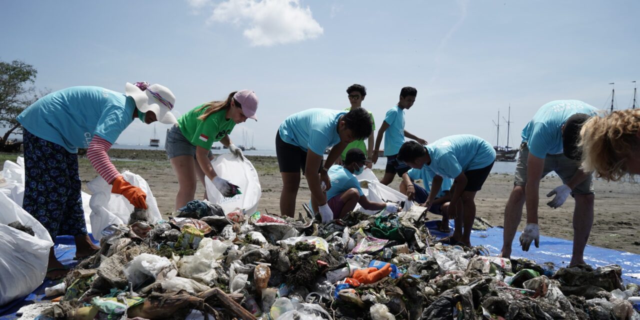 SEASON OF CREATION.   CLEAN-UP TIME