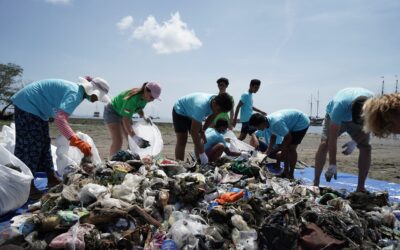 SEASON OF CREATION.   CLEAN-UP TIME