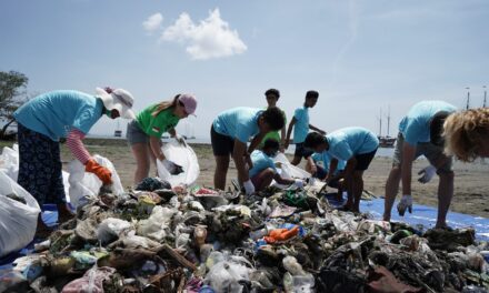 SEASON OF CREATION.   CLEAN-UP TIME