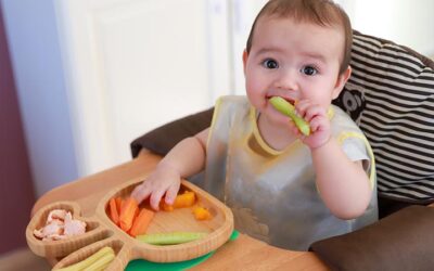 SEASON OF CREATION. CONSERVATION CONVERSATION. FOOD FOR LIFE.