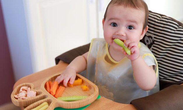 SEASON OF CREATION. CONSERVATION CONVERSATION. FOOD FOR LIFE.