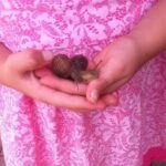 SEASON OF CREATION.   ECO-FRIENDLY FAMILIES