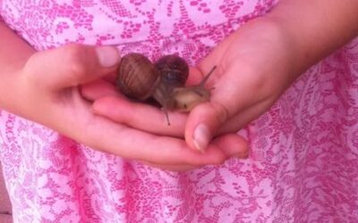 SEASON OF CREATION.   ECO-FRIENDLY FAMILIES