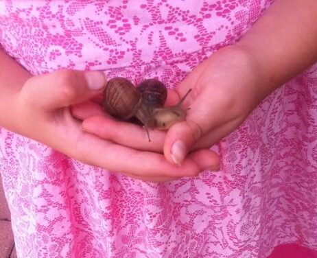 SEASON OF CREATION.   ECO-FRIENDLY FAMILIES