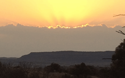 SEASON OF CREATION.   SUNDAY 26C  LET THERE BE LIGHT