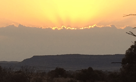 SEASON OF CREATION.   SUNDAY 26C  LET THERE BE LIGHT