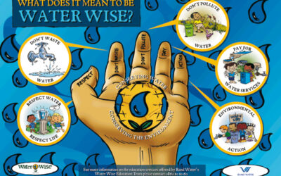 SEASON OF CREATION.  WATER WARRIORS