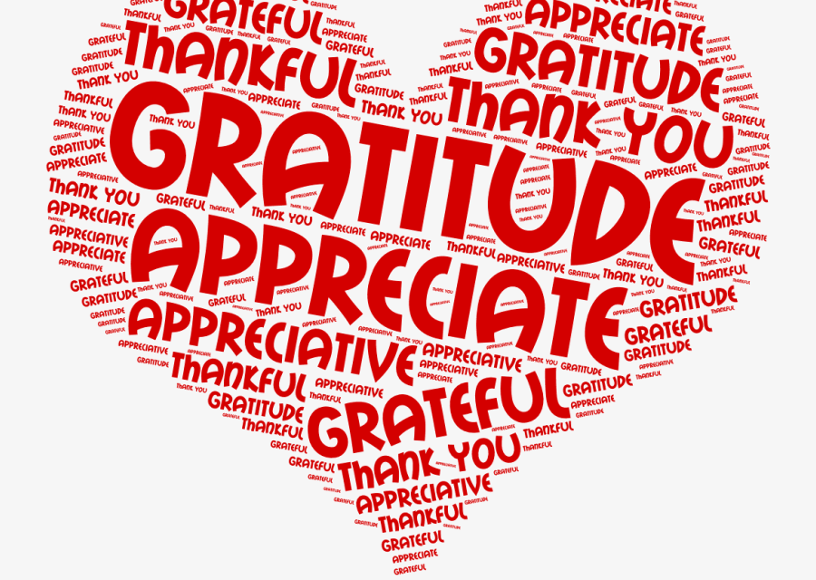 FAMILIES ON MISSION. 28TH SUNDAY C