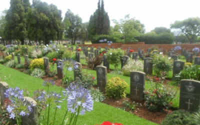 NOVEMBER – FAMILY LOSSES AND ENDINGS.