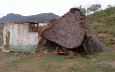 JUBILEE ADVENT.   CHILDREN’S PEACE PILGRIMAGE