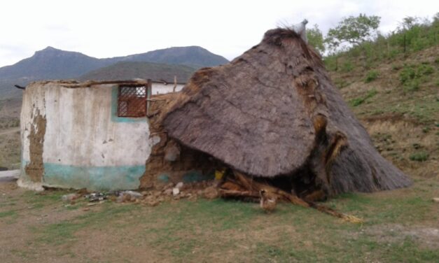 JUBILEE ADVENT.   CHILDREN’S PEACE PILGRIMAGE