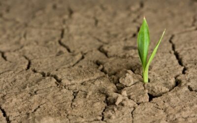 HOPE JOY AND LOVE REVISITED