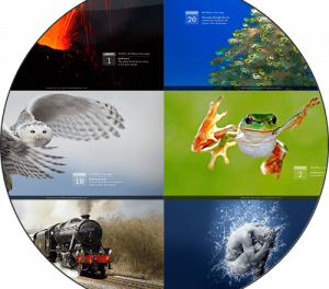 LENT YEAR OF ST FRANCIS. CREATION AND EVOLUTION. “Out of love for love.”