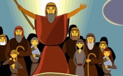 LENT. ST FRANCIS. LIFE-GIVING AND THE LAW