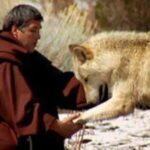 YEAR OF ST FRANCIS, HOLY WEEK TUESDAY