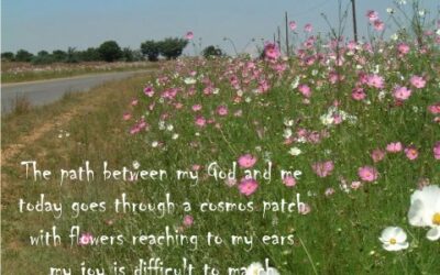 LENT. YEAR OF ST FRANCIS.  NATURE AS A REVELATION OF GOD