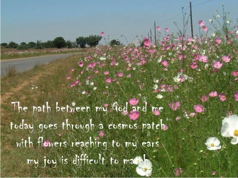 LENT. YEAR OF ST FRANCIS.  NATURE AS A REVELATION OF GOD