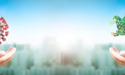 ST FRANCIS YEAR. FAITH, MIRACLES AND HEALING