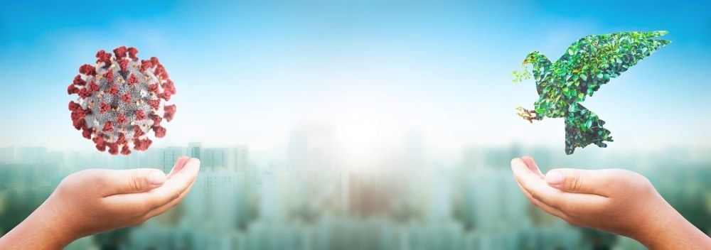 ST FRANCIS YEAR.  FAITH, MIRACLES AND HEALING