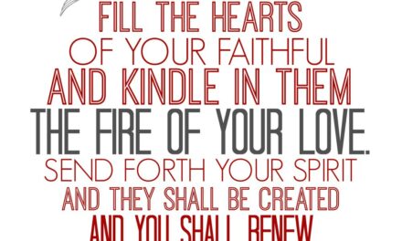 PENTECOST SUNDAY AND THE FAMILY. LAUDATO SI AND CHRISTIAN UNITY WEEK DAY 8