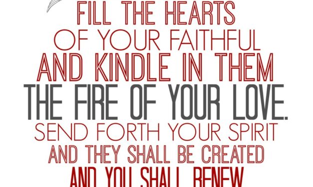 PENTECOST SUNDAY AND THE FAMILY. LAUDATO SI AND CHRISTIAN UNITY WEEK DAY 8