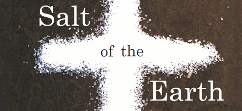 THOUGHT FOR THE DAY. HOW DO I RATE AS A SALT AND LIGHT PERSON?