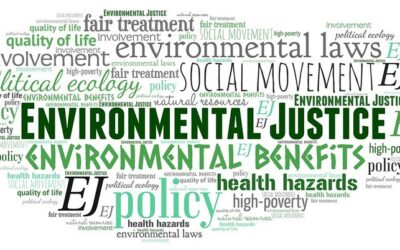 YOUNG ADULTS AND AI ON WORLD ENVIRONMENT DAY