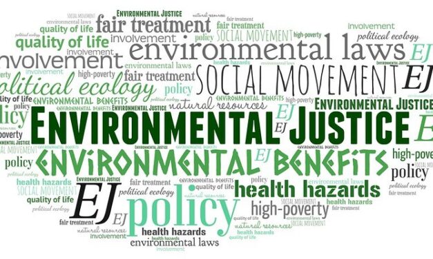 YOUNG ADULTS AND AI ON WORLD ENVIRONMENT DAY