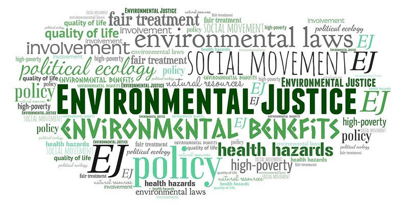 YOUNG ADULTS AND AI ON WORLD ENVIRONMENT DAY