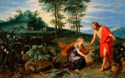 THOUGHT FOR THE DAY.  ST MARY MAGDALEN