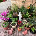THOUGHT FOR THE DAY. GO GREEN – GROW GREEN