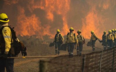 THOUGHT FOR THE DAY.   MANAGING THE FIRE