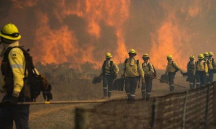 THOUGHT FOR THE DAY. MANAGING THE FIRE