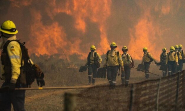 THOUGHT FOR THE DAY. MANAGING THE FIRE