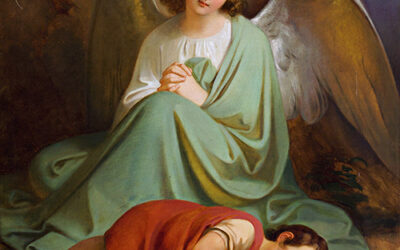 THOUGHT FOR THE DAY.  FEAST OF THE GUARDIAN ANGELS.  SEASON OF CREATION
